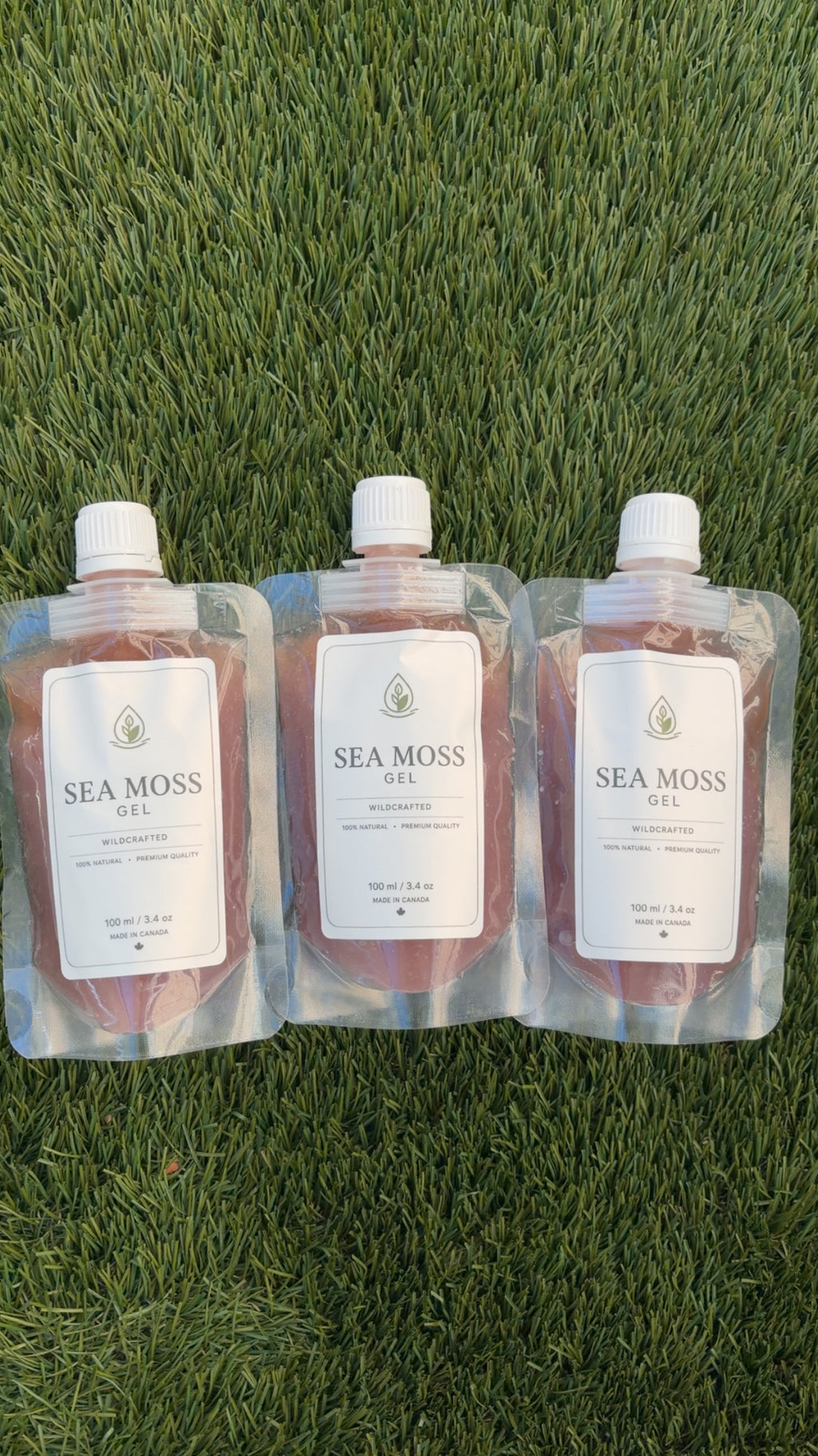 Purple Sea Moss Gel (3-Pack)