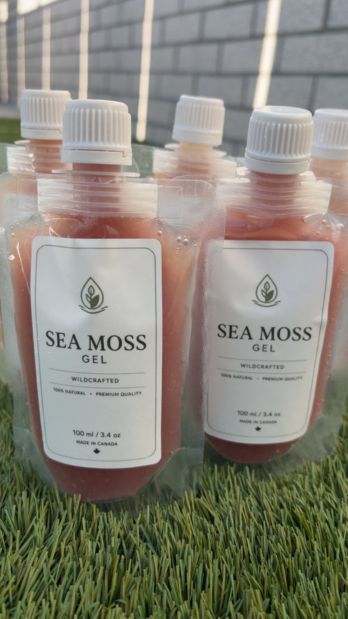 Purple Sea Moss Gel (3-Pack)