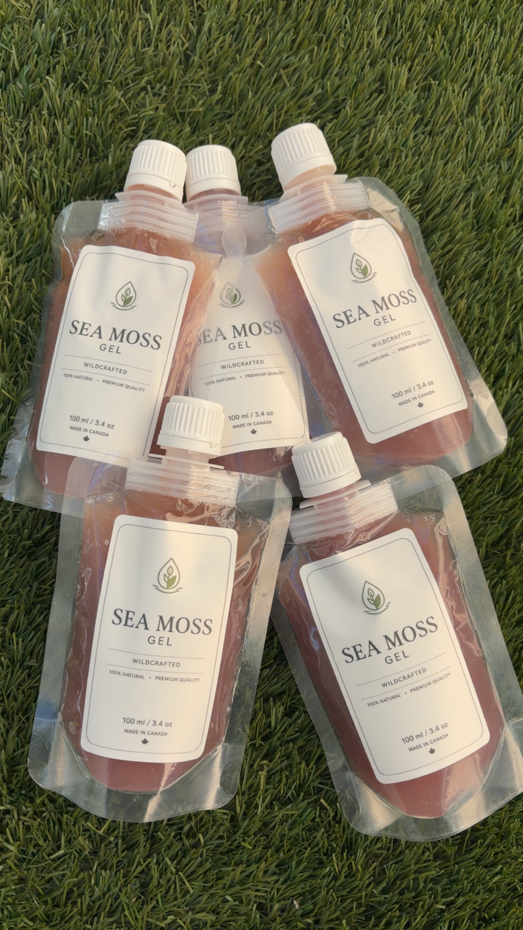 Purple Sea Moss Gel (6-Pack)
