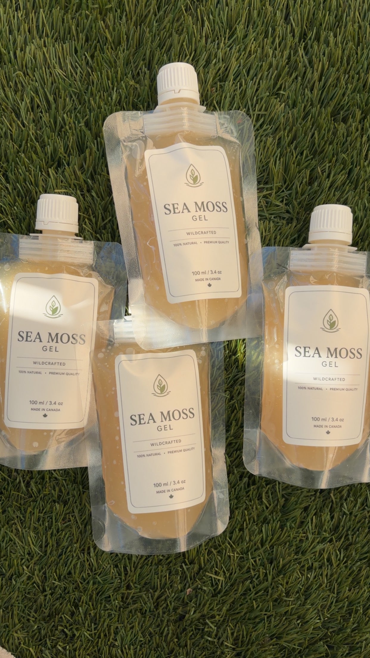 Sea Moss Gel (4-Pack)
