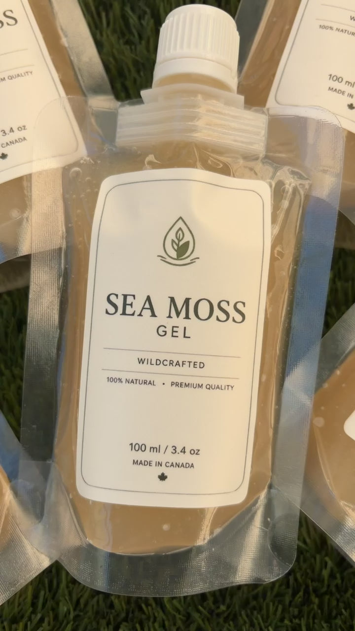 Sea Moss Gel Multipack (10-Pack)