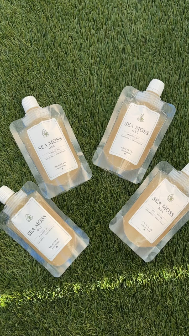 Sea Moss Gel (4-Pack)